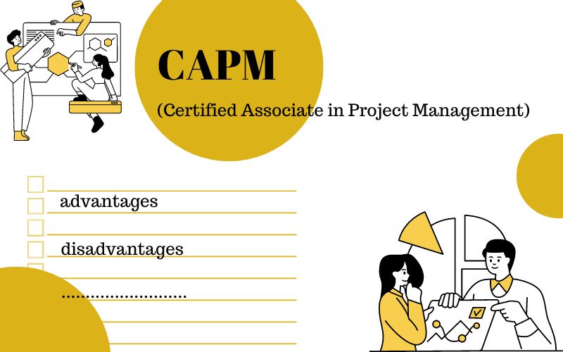 advantages and disadvantages of capm