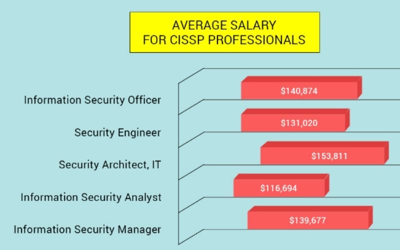 cissp certification path