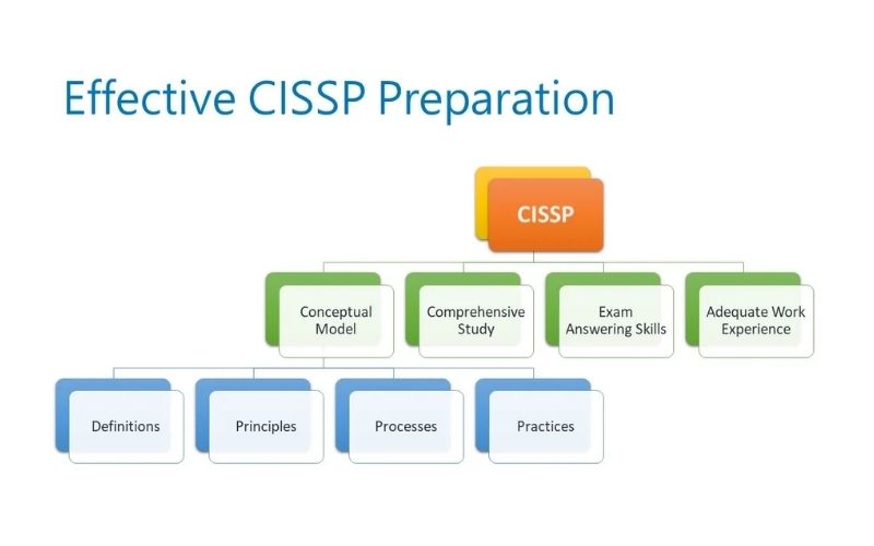 cissp certification path