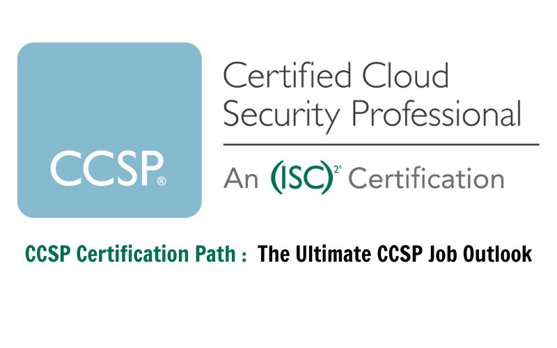 ccsp certification path